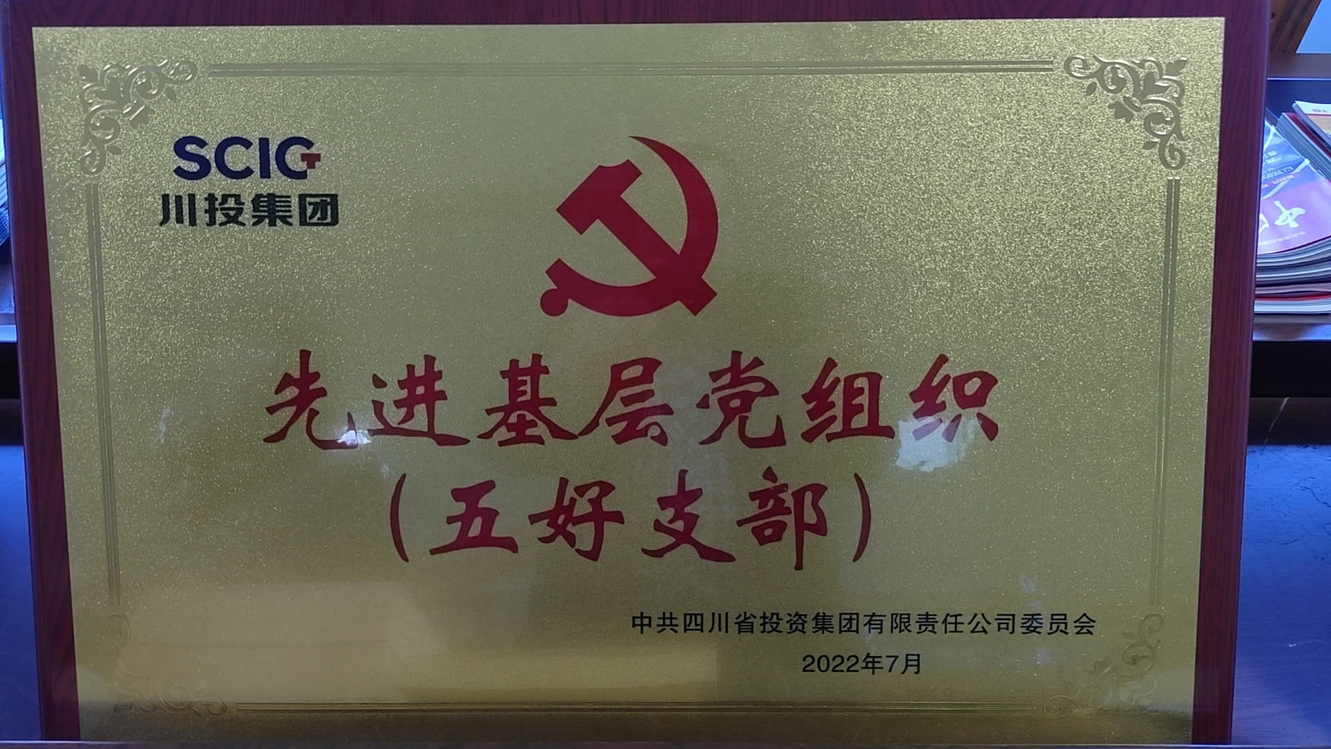 先进基层党组织(五好支部）