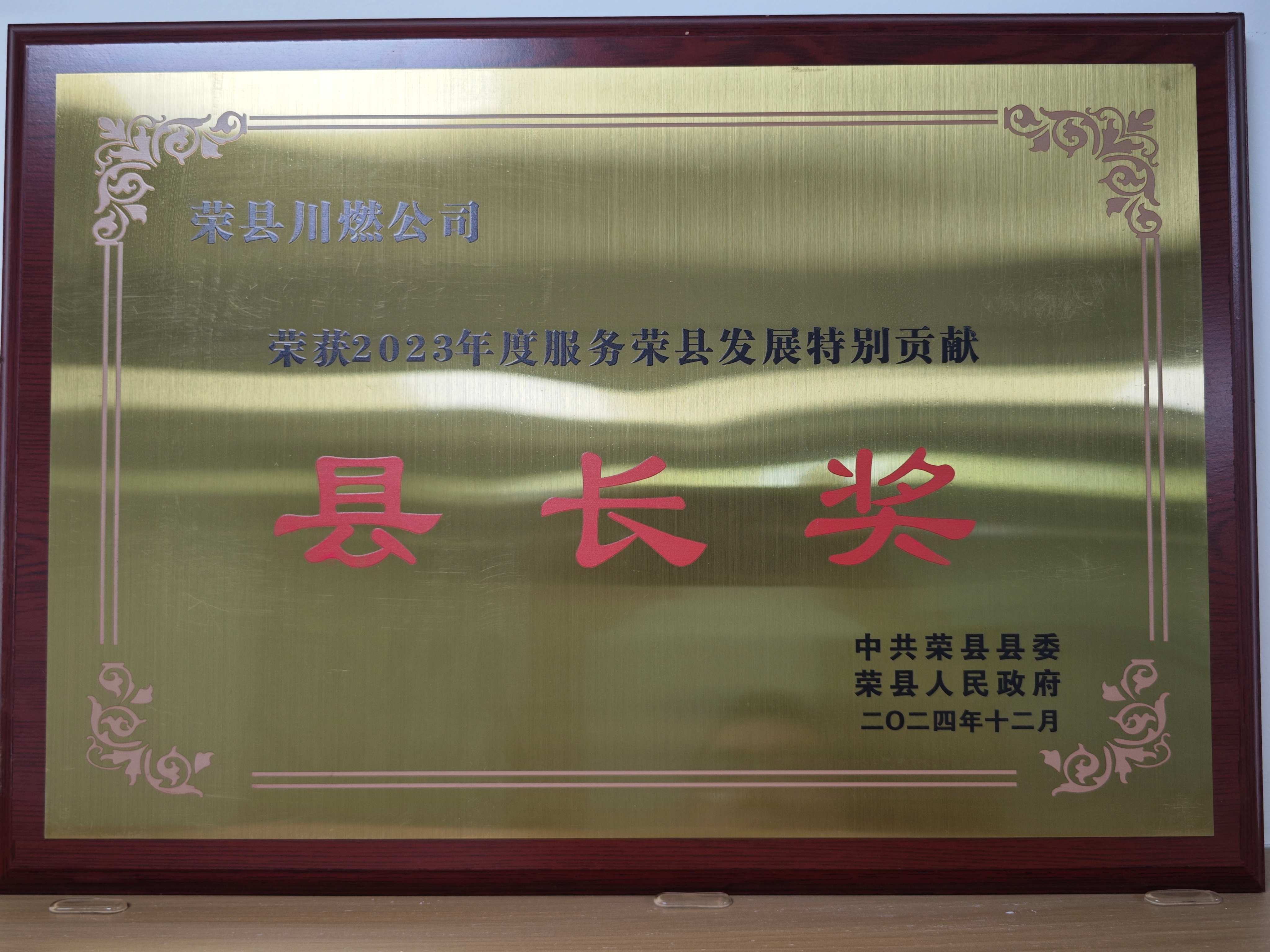 2023年度服务荣县发展特别贡献县长奖